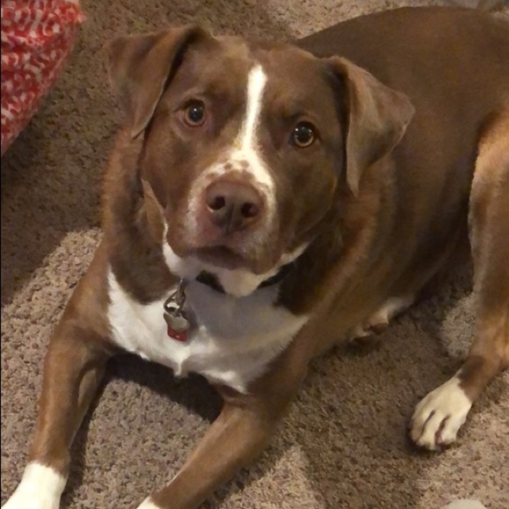 Meet your Posher, Luke